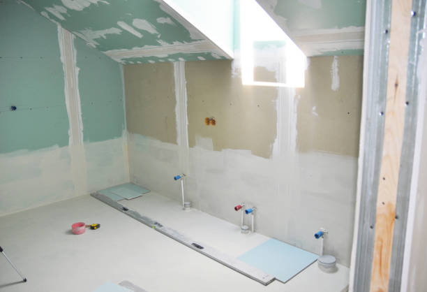 Best Attic Mold Removal  in Nashvle, IL