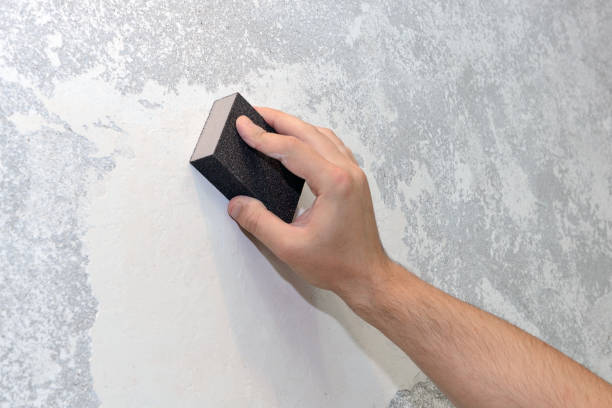 Best Real Estate Mold Inspection  in Nashvle, IL
