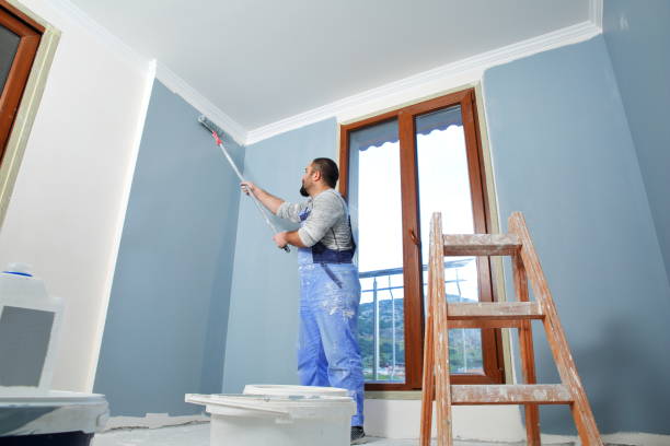 Best Mold Removal for HVAC Installations  in Nashvle, IL