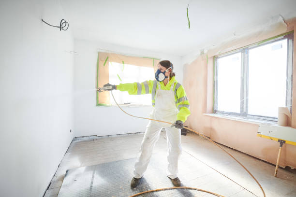Best Asbestos and Lead Testing During Mold Inspection  in Nashvle, IL