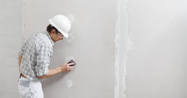 Best Mold Remediation for Vacation Homes  in Nashvle, IL