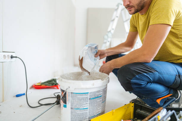 Best Emergency Mold Remediation  in Nashvle, IL