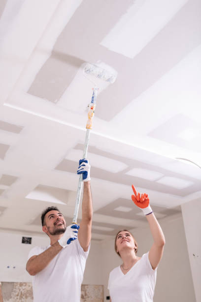 Trusted Nashville, IL Mold Removal Experts