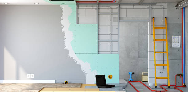 Mold Remediation for Vacation Homes in Nashville, IL
