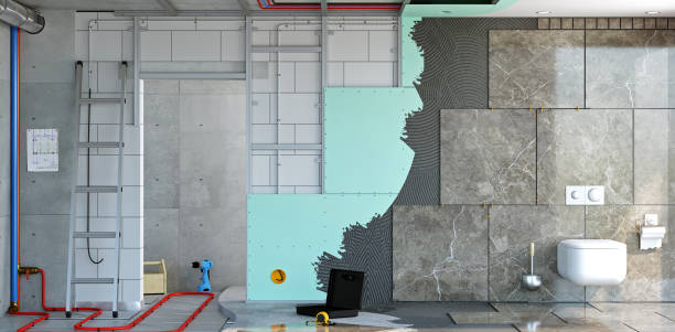 Best Mold Documentation for Insurance Claims  in Nashvle, IL