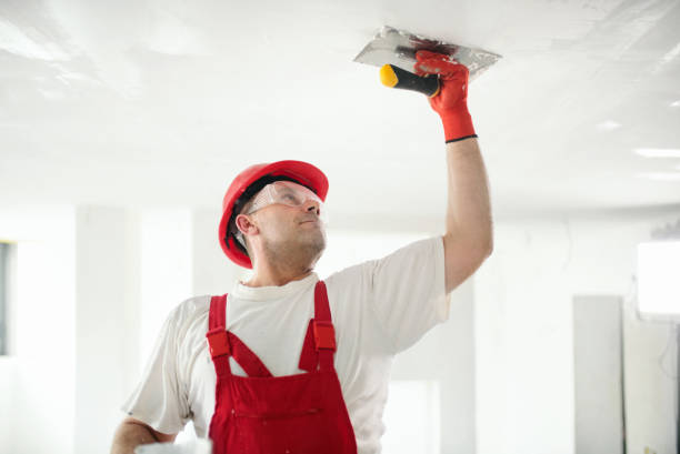 Best Mold Odor Removal Services  in Nashvle, IL