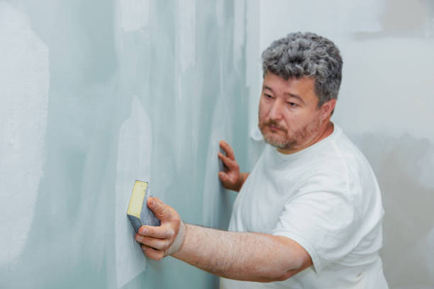 Best Forensic Mold Investigation  in Nashvle, IL