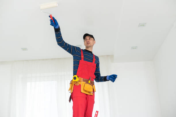 Best Post-Remediation Verification Testing  in Nashvle, IL
