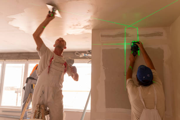 Best Mold Remediation for Healthcare Facilities  in Nashvle, IL