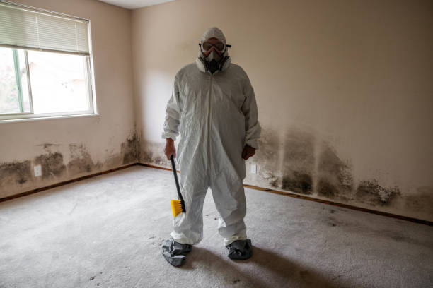 Best Commercial Mold Inspection  in Nashvle, IL