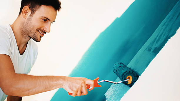  Nashvle, IL Mold Removal Pros