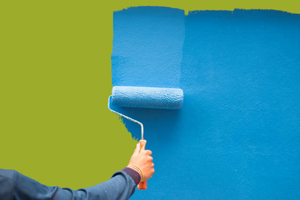 Best Residential Mold Inspection & Testing  in Nashvle, IL